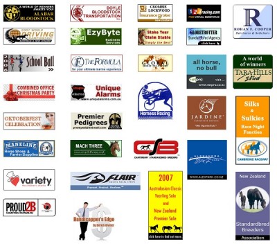 Ad supported websites