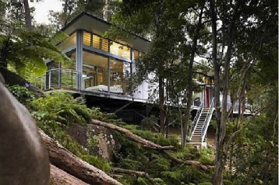 Dreams of a Tree House