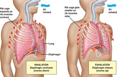 Breathing