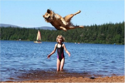 It's a Plane? It's a Car? No, it's Super Dog!