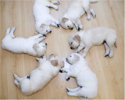 Nap Time.