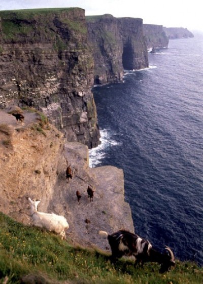 What do you mean you are scared of heights?