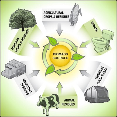 Biomass