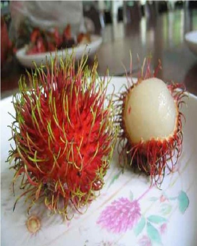 Rambutan