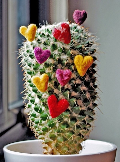 Cactus Love