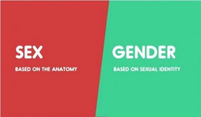 Sex vs. Gender