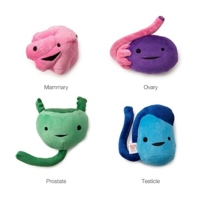 These Plush Toys