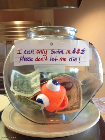 The Cutest of All Tip Jars