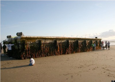 Bizarre things that washed up on beaches