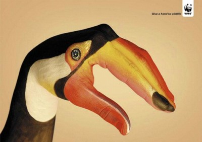 Let Them Quack