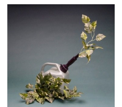 Cellulosic Ethanol