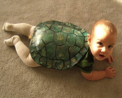 Turtle