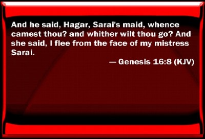 Genesis 16:8