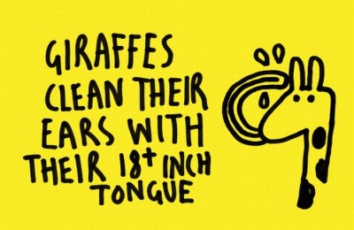 Thankfully they have the right tongue