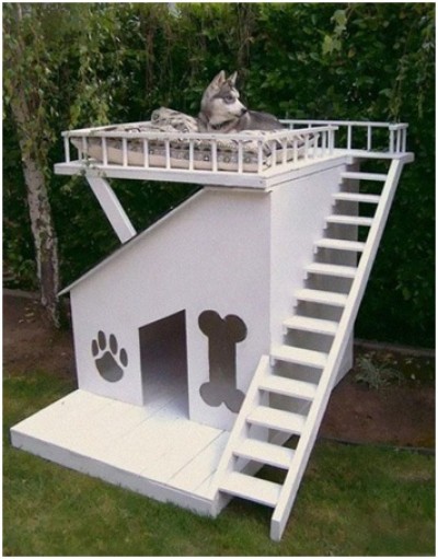 Dog House Fort