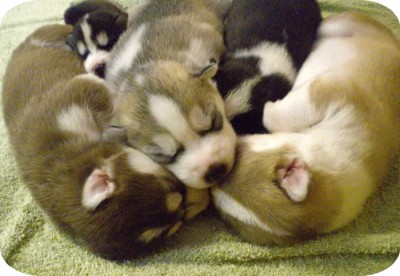 Group Hugs