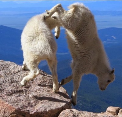 Cliff acrobatics