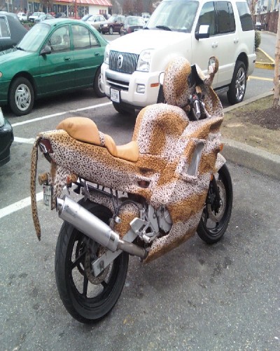 Jungle cat motorcycle