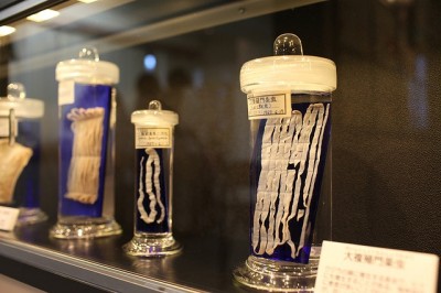 Meguro Parasitological Museum