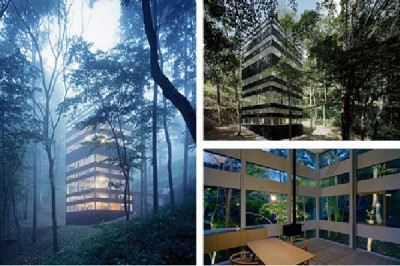 Forest Charm