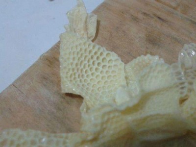 Chicken Skin
