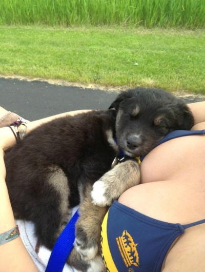 So Comfy