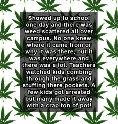 When Pot Rained from Nowhere