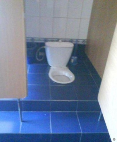 What Kind of a Toilet is this