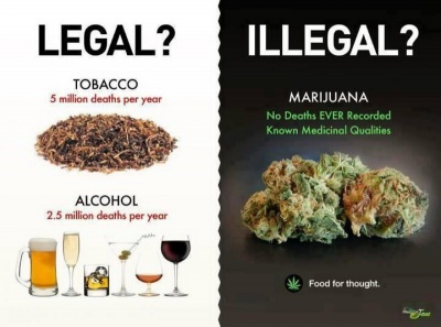 Alcohol And Tobacco Vs. Marijuana