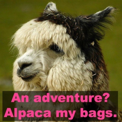 An Adventure? Alpaca My Bags!