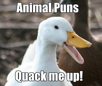 Animal Puns Quack Me Up!