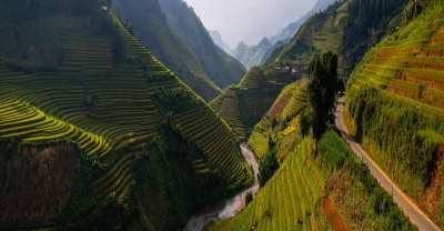 Asian Terrace Rice Fields