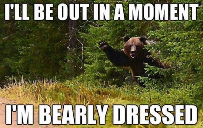 Bearly Dressed