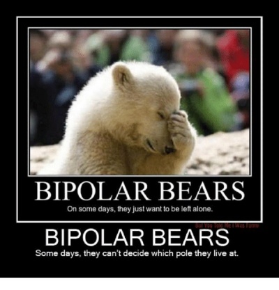 Bipolar Bears