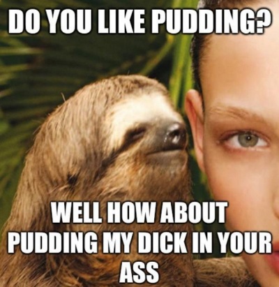 Do You Like Pudding?