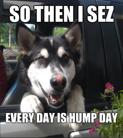 Every Day Is A Hump Day