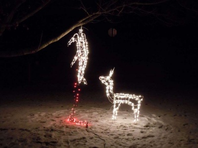 Hanging Reindeer