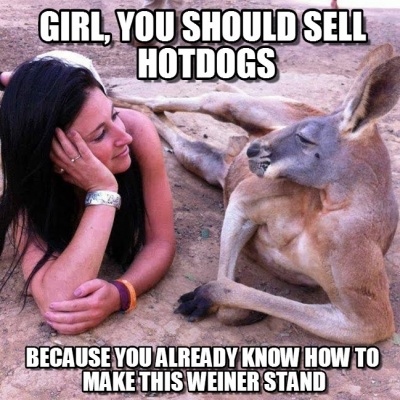 Hotdogs