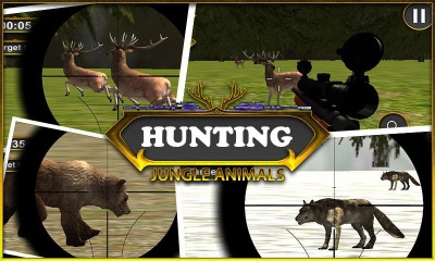 Hunting Jungle Animals