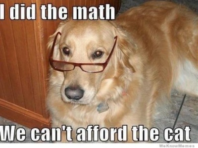 I Did The Math, We Can't Afford The Cat