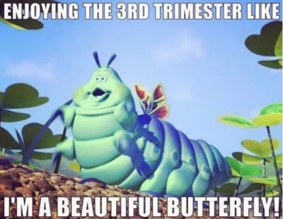 I'm A Beautiful Butterfly!