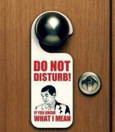 If You Know What I Mean Do Not Disturb Sign