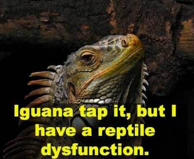 Iguana Tap It, But I Have A Reptile Dysfunction