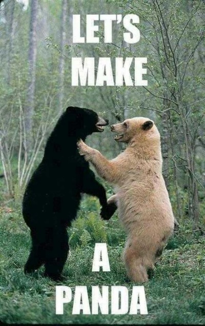 Let's Make A Panda! 