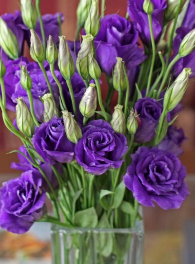 Lisianthus