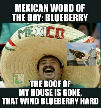 Mexican Word Of The Day: Blueberry