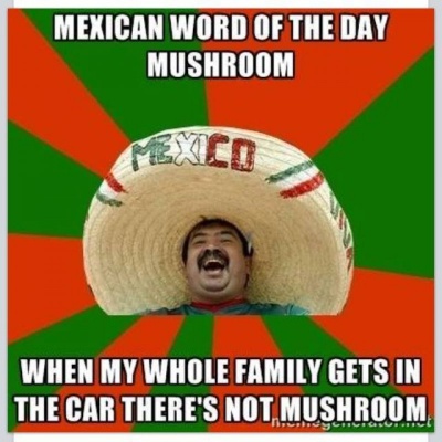 Mexican Word Of The Day: Mushroom