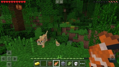 Minecraft: Pocket Edition