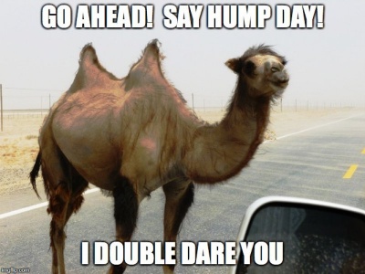 My Humps, My Humps, My Lovely Double Humps!