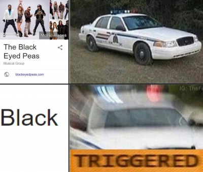 Police Triggered!